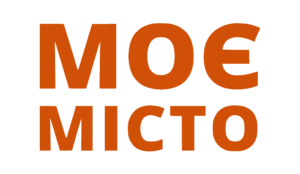 ГО «Моє Місто»