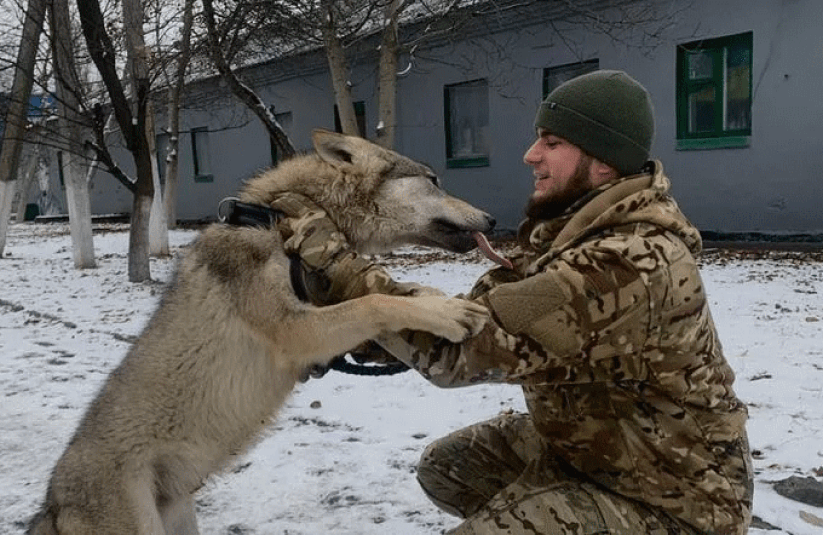 Стріткод — Дмитро Коцюбайло «Да Вінчі» фото