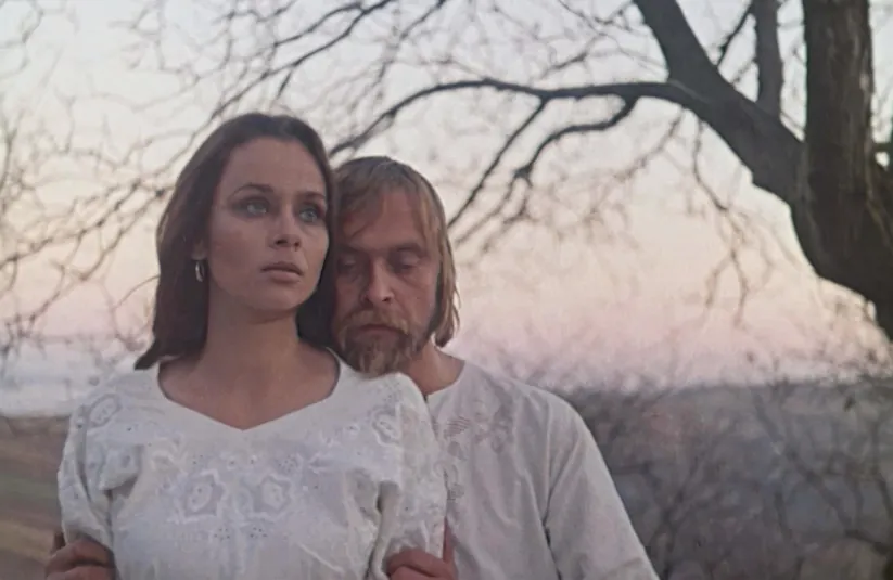 Стріткод — Іван Миколайчук фото