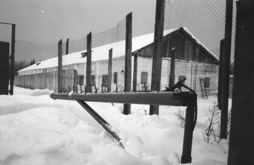 Стріткод — Олексій (Олекса) Тихий фото