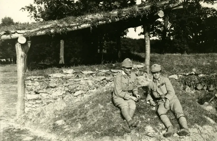 Стріткод — Олена Степанів фото