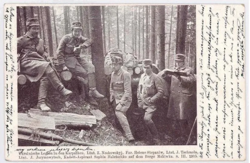 Стріткод — Олена Степанів фото