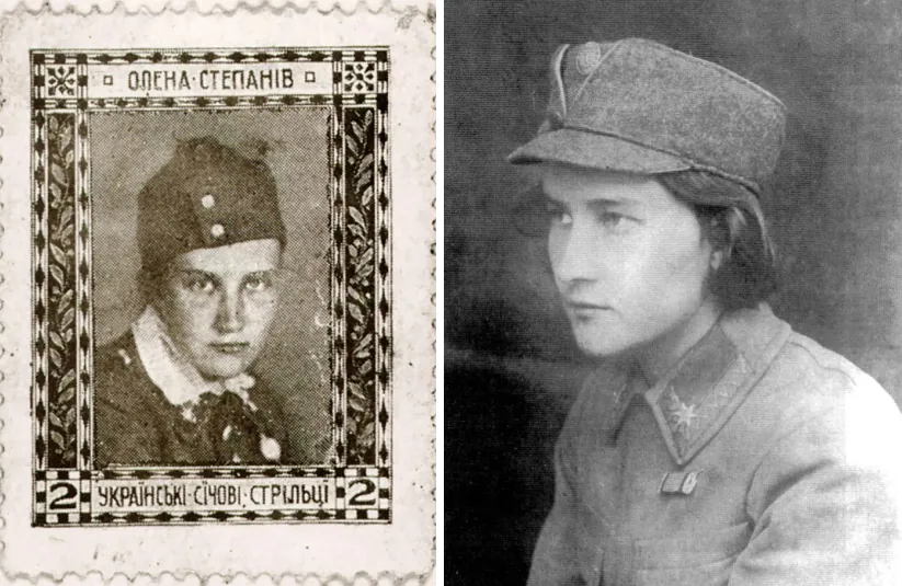 Стріткод — Олена Степанів фото