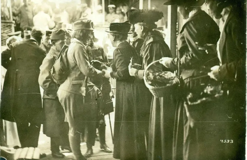 Стріткод — Олена Степанів фото