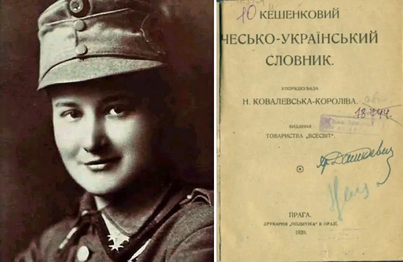 Стріткод — Олена Степанів фото