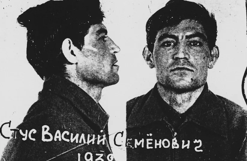 Стріткод — Василь Стус фото