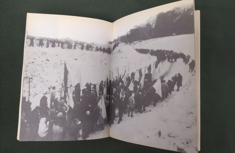 Стріткод — Василь Стус фото