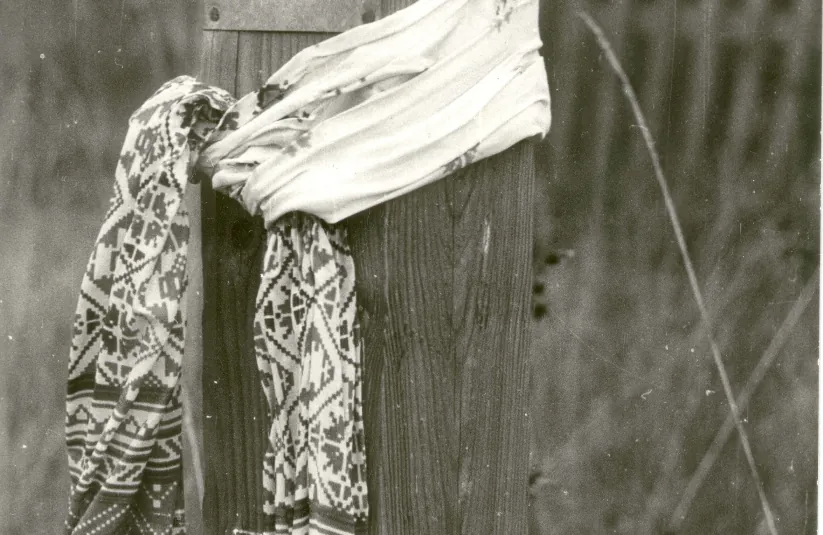 Стріткод — Василь Стус фото