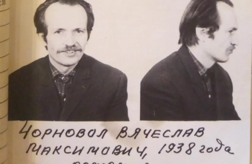 Стріткод — Василь Стус фото