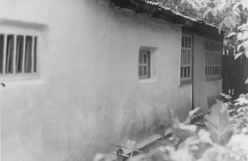 Стріткод — Василь Стус фото