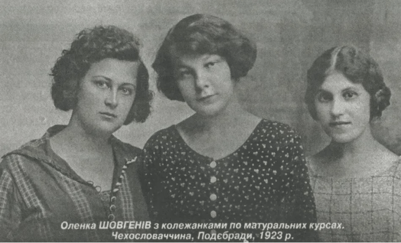 Стріткод — Олена Теліга фото