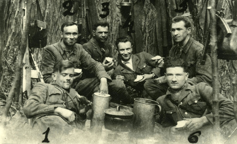 Стріткод — Анатолій Козяр фото