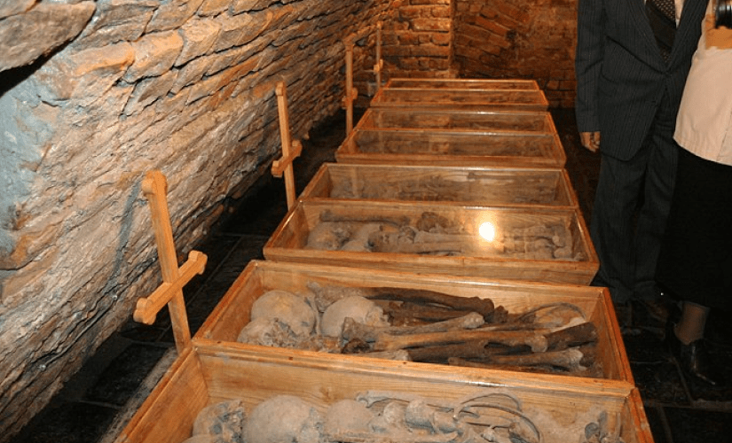 Стріткод — Данило Братковський фото