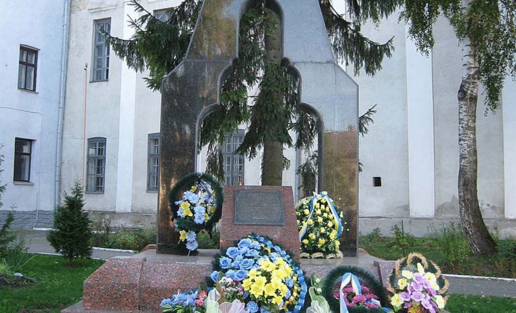 Стріткод — Василина Демчинська фото