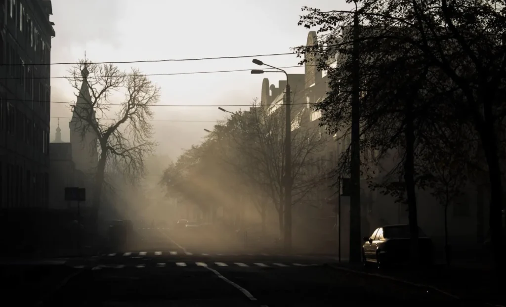 Стріткод — Микола Рачок фото