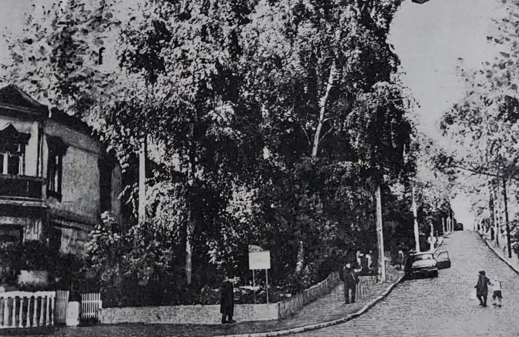 Стріткод — Максим Рильський фото