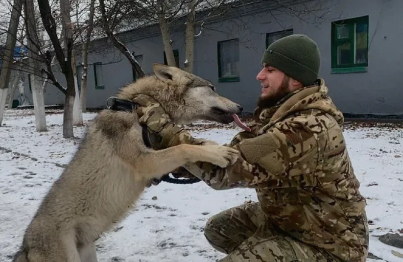 Стріткод — Дмитро Коцюбайло «Да Вінчі» фото