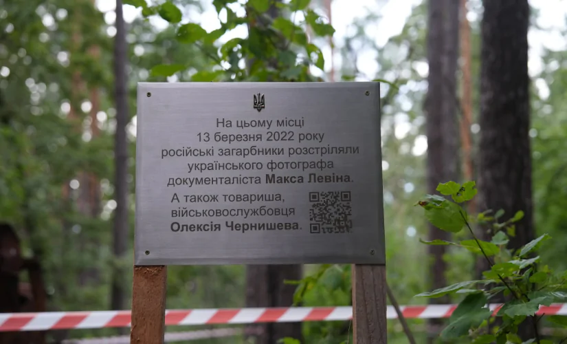 Стріткод — Макс Левін фото